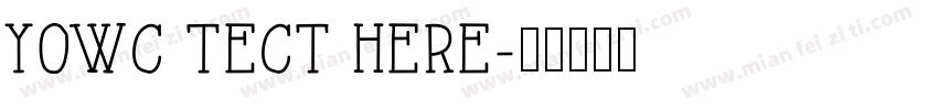 yowc tect here字体转换